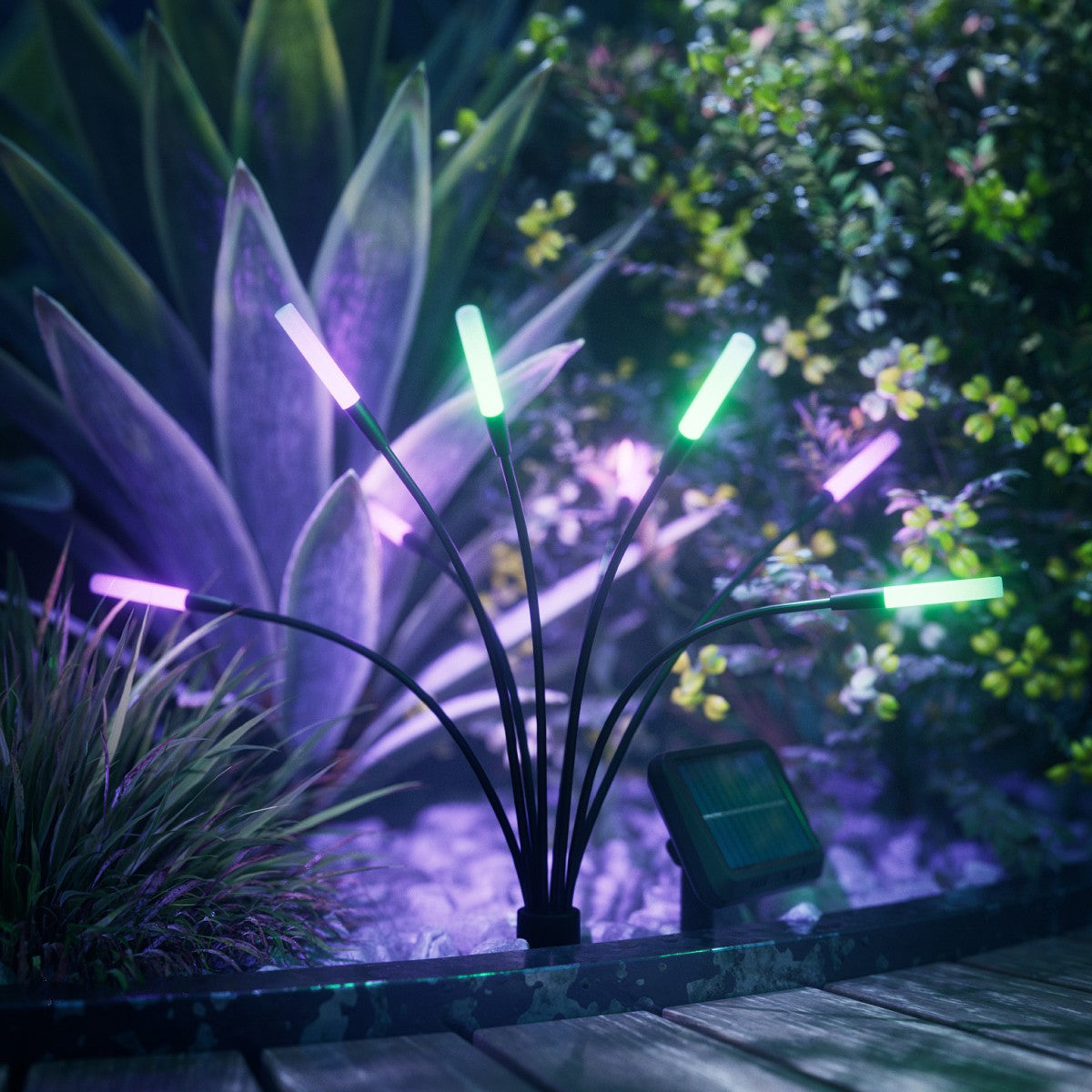 Solar Garden Lights (12 Pack)