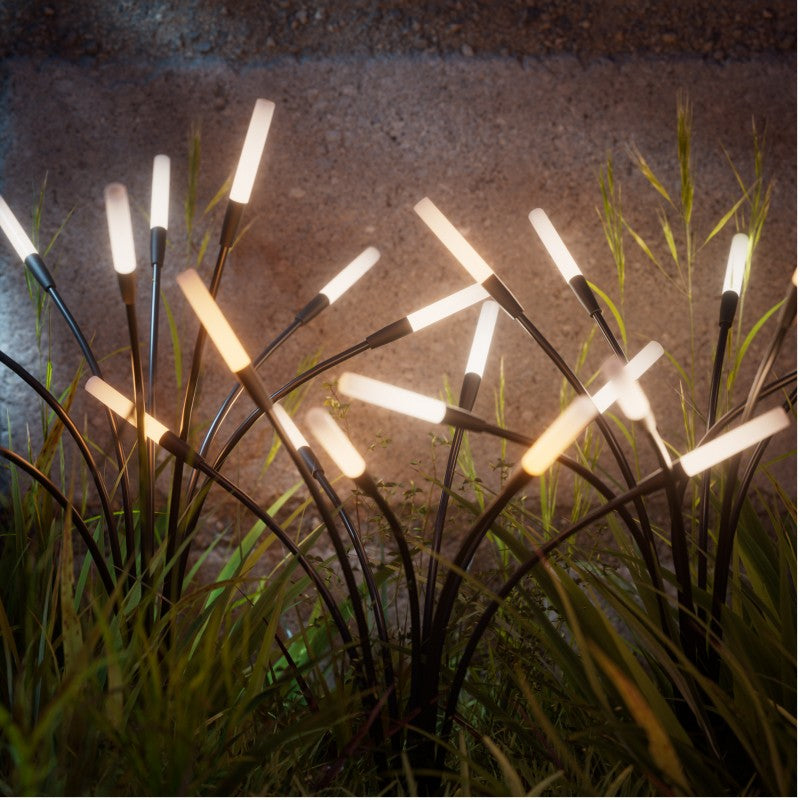 Solar Garden Lights (12 Pack)