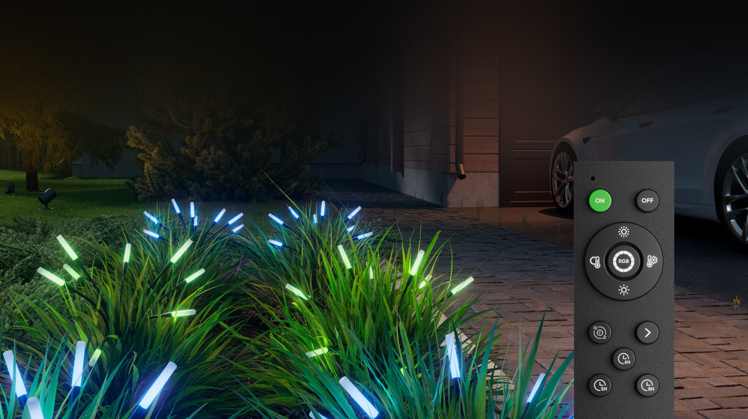 Telecomando portatile